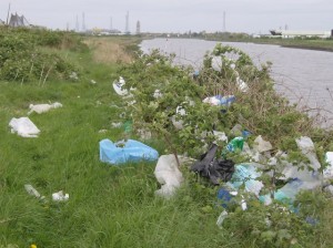 Plastic bags in the environment can be harmful. Photo by Graham Horn